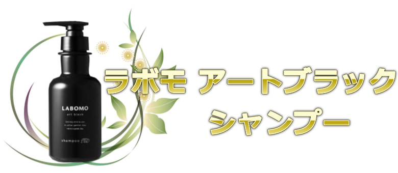 ５位：育毛サロン仕様のシャンプーおすすめラボモ アートブラック シャンプー (アートネイチャー)