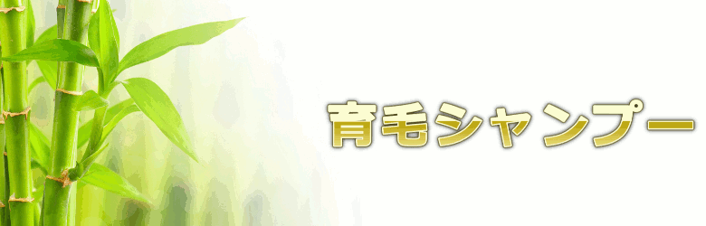 範囲内で口コミ数も固定しないで豊富