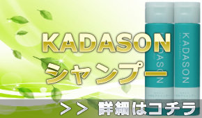 カダソンスカルプシャンプー(KADASON)の通販情報