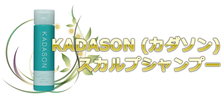 カダソンスカルプシャンプー(KADASON)の通販情報