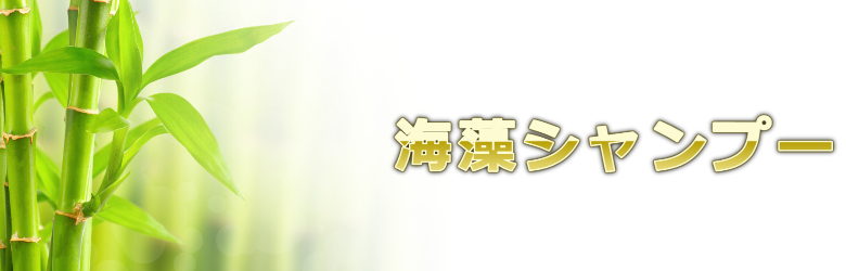 敷地面積に捕らわれない心の広さに脱帽する謙虚な姿勢