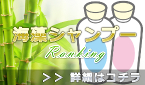 海藻エキス配合シャンプー男性おすすめランキング＠スカルプケアに良いのは？