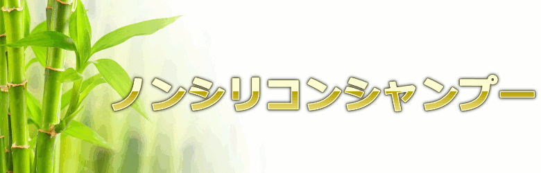 申し訳ない程度に懺悔する精神力