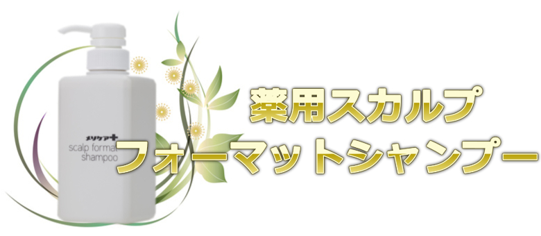 医師が監修したシャンプーおすすめ(メソケア＋) 薬用スカルプフォーマットシャンプー