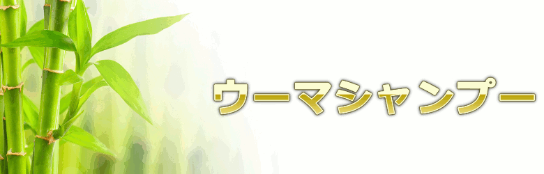 検索結果に一喜一憂するよりも徹底評価されるコンテンツ